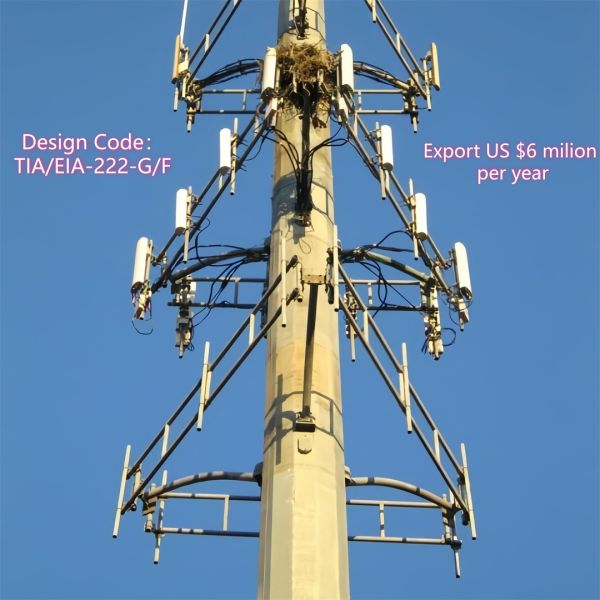 Monopole Tower Telecom Steel Structure Hot Dip Galvanized Painted Design Code ANSI/TIA-222-G/H/F Wind Speed Up to 250 kmh
