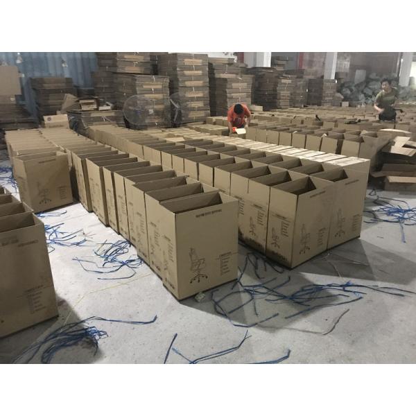 BT NEWWIN COMPANY LIMITED