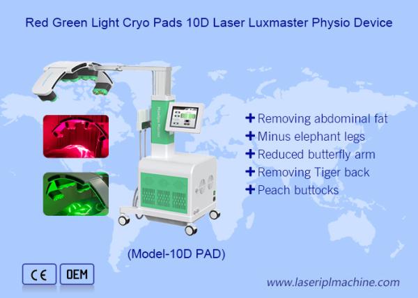 La machine de perte de poids au laser de la plaque de refroidissement EMS Maxlipo Master 10d