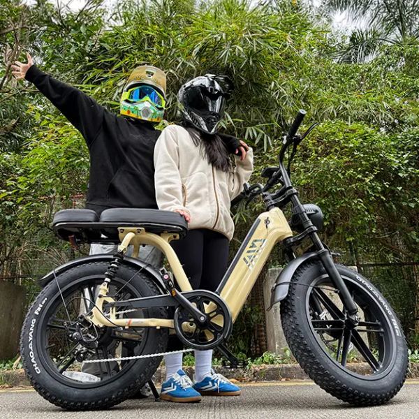 R7 Women Comfort Electric Bike | 20inch Fat Tire E-Bike for Urban Riding and Leisure Cycling