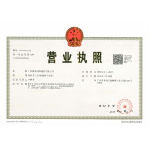 GUANGZHOU VISON INTERNATIONAL WATER PARK EQUIPMENT CO.,LTD Сертификации