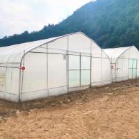 Estufa hidropônica da agricultura de Singlespan da fabricação por atacado do preço de fábrica de China da estufa