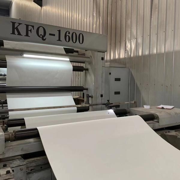 A madeira 100% do Virgin do produto comestível reduz a polpa rolo de papel inferior de papel revestido do copo de café do Pe 2