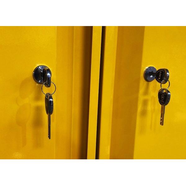 Chemical Storage Cabinet with 109x46x123CM, 109x46x165CM, and 109x86x165CM Sizes for Hazardous Material Storage
