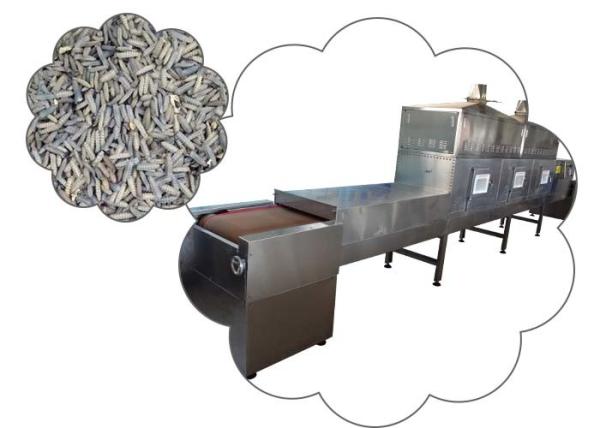 Frequency Stainless Steel Black Soldier Fly Larvae Microwave Sterilization  Machine Chinese Origin