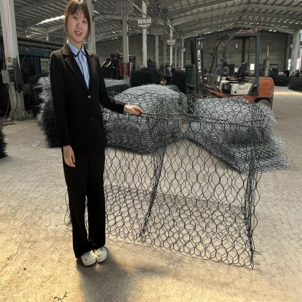 Зелёный ПВХ оцинкованный габионный ящик речной защиты каменной сетки 100 мм х 120 мм