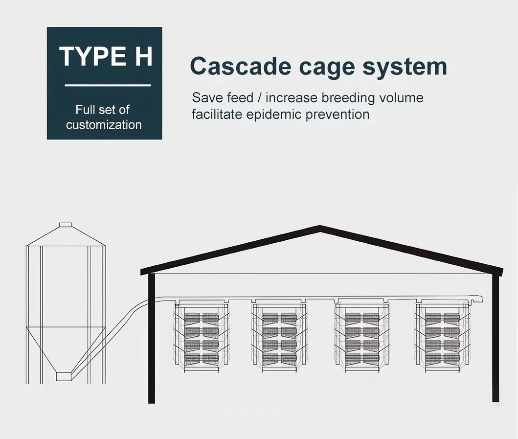 Automatic Poultry Farm Chicken Broiler Cage for Poultry Farming