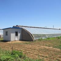 Estufa solar passiva do tomate com do rolo ventilação elétrica acima