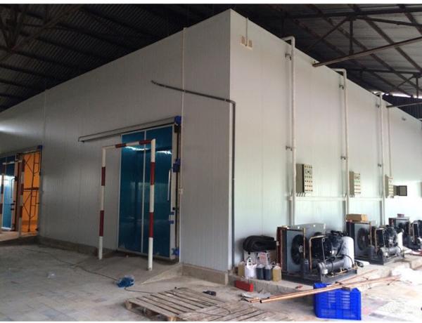 equipamento de refrigeração modular do armazém da sala fria dos peixes da espessura de 100mm
