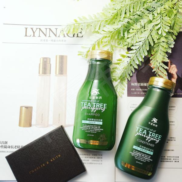 100% Pure Tea Tree Oil Anti Hair Loss Shampoo For Itchy And Dry Scalp Sulfate Free