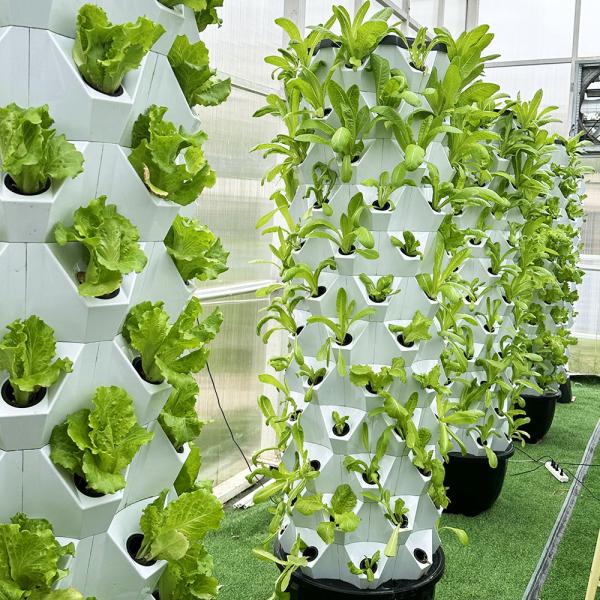 65L 6 8 10 12 14 Layer Diy Vertical Pineapple Hydroponic Tower Friendly Material