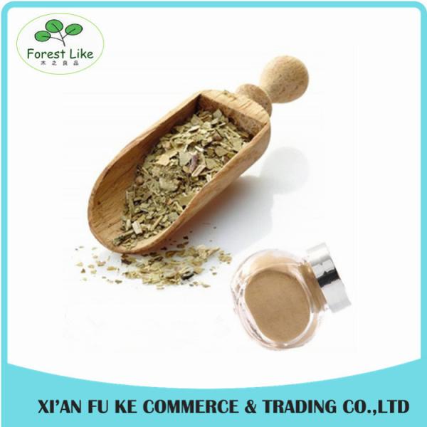 Best Selling Natural Yerba Mate Extract 25 % Polyphenol,20 % Tannin Acid