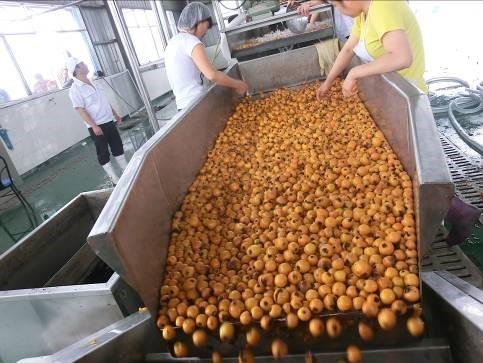 Bottled Fruit Juice Production Line / Equipment /Apple juice blueberry juice beverage factory equipment