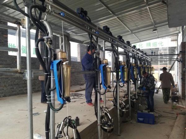 HL-G2 Single line 1x9 Automatic Milking Parlour with Waikato Milk Flow Meter