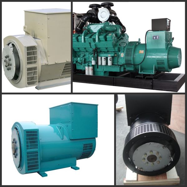 3 Phase Brushless Motor Generator Anti Acid With Self - Excited Control System
