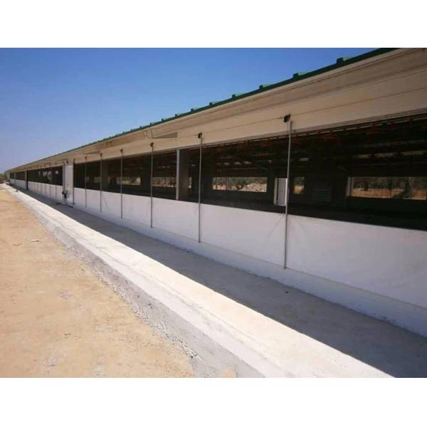 Diseño prefabricado Capa automática de huevo Granja avícola Batería Casita de pollo Muestras de gallinas Estructura de acero Almacén Equipo agrícola Granero de vacas Granero