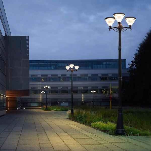 8W 18W 28W 45W Energy Saving Solar Garden Lamp Rust Proof Aluminum Solar Flower Lights