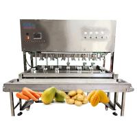 Mitsubishi PLC Máquina automática de descascar maçã para linhas de processamento de frutas e legumes SUS304