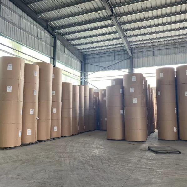 230g-400g High Stiffness Coated Duplex Board With Grey Back For Packing boxes