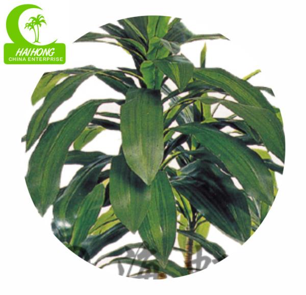 Dracaena artificial de alta qualidade dos bonsais de imitação com as folhas reais do toque para a venda quente