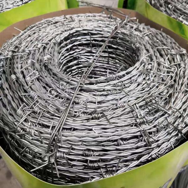 Steel Wire Material Razor Barbed Wire Durable  Single Strand Double Twisted