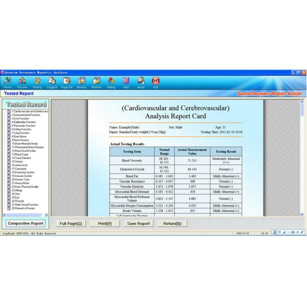 AH - Q6 English Portable Quantum Body Health Analyzer for Home Clinic
