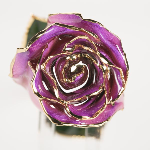 Gold Plated Rose Fresh Preserved Flower Gold Plated 24k Gold Plated Rose Eternal Roses Flower Mother's Day