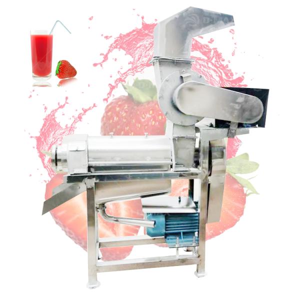 Spiral Fruit Juicer Screw Extractor Stainless Steel 2.25kw Ginger Juice Making Machine