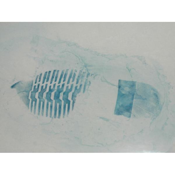 G031 BTXJ-VI Amido black 10B latent blood footprint developer