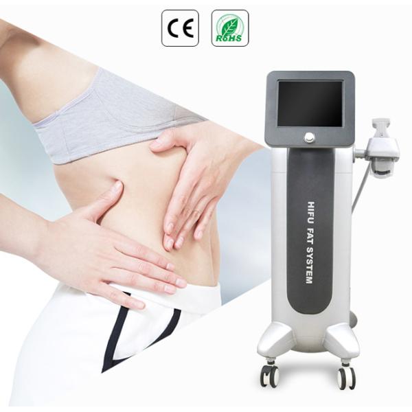 Home Use HIFU Beauty Machine Body Slimming  46mm * 46mm Single Shot Area