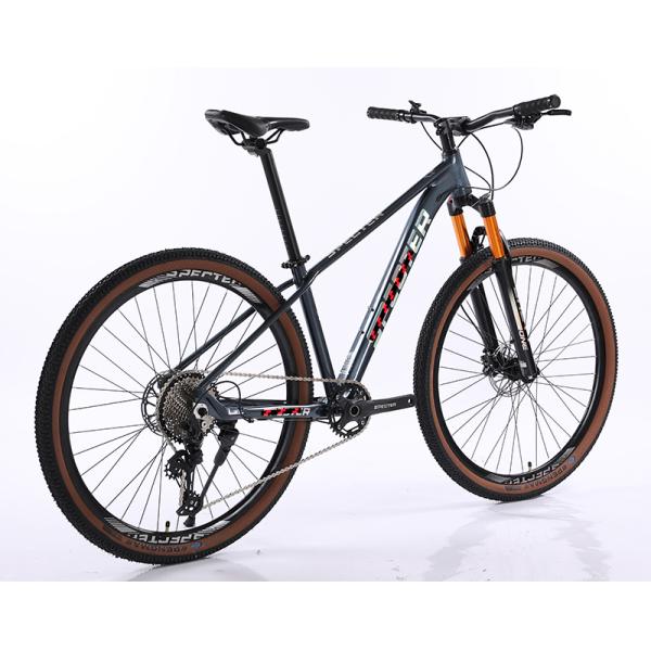 Aluminium Alloy Hollow Crankset Bicycle with SHIMANO Hydraulic Brake and Wire-controlled Air Lockable Fork