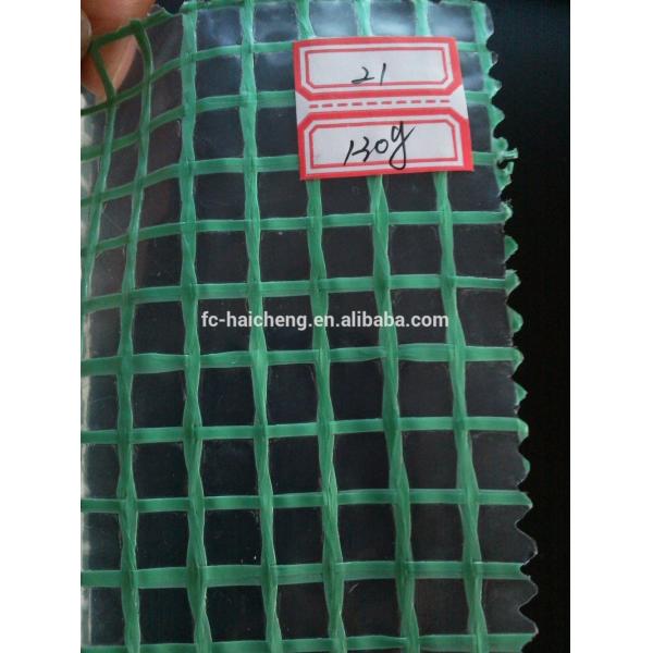 PE tarpaulin garden greenhouse for protection plants in freezer cold weather