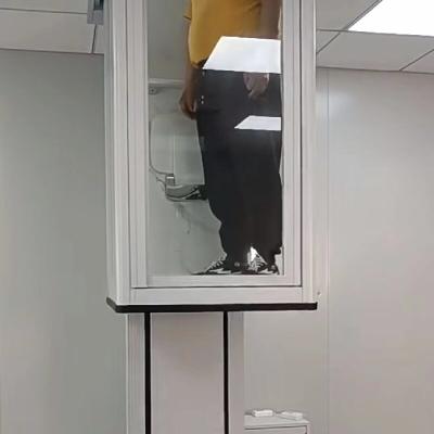 Customizable Naked Hydraulic Cabin Elevator