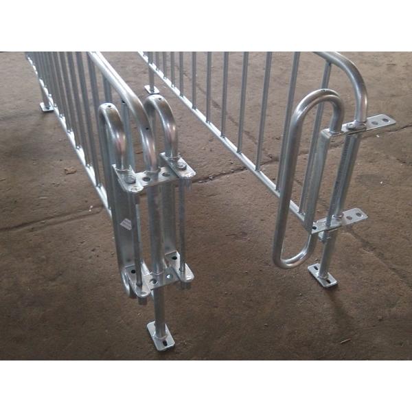 Durable Steel Iron Hog Gestation Stalls , Gestating Pen For Livestock