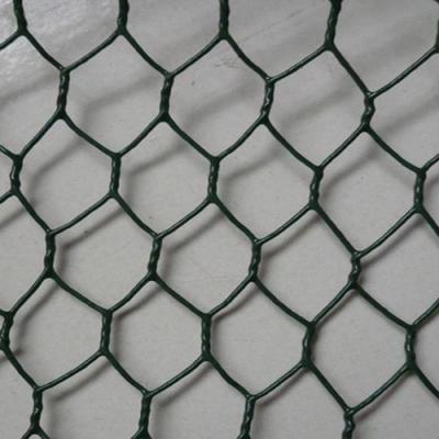 PVC Coated Or Galvanized Hexagonal Chicken Wire Mesh For Poultry