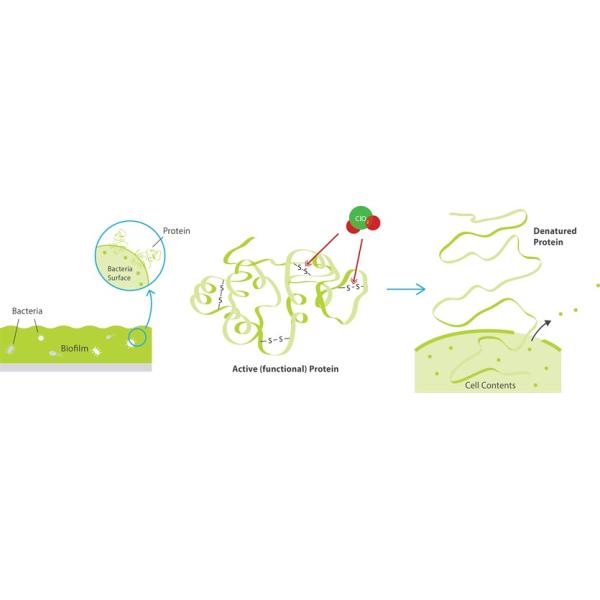 Оборудование обеззараживанием воды больницы, система водоочистки двуокиси хлора