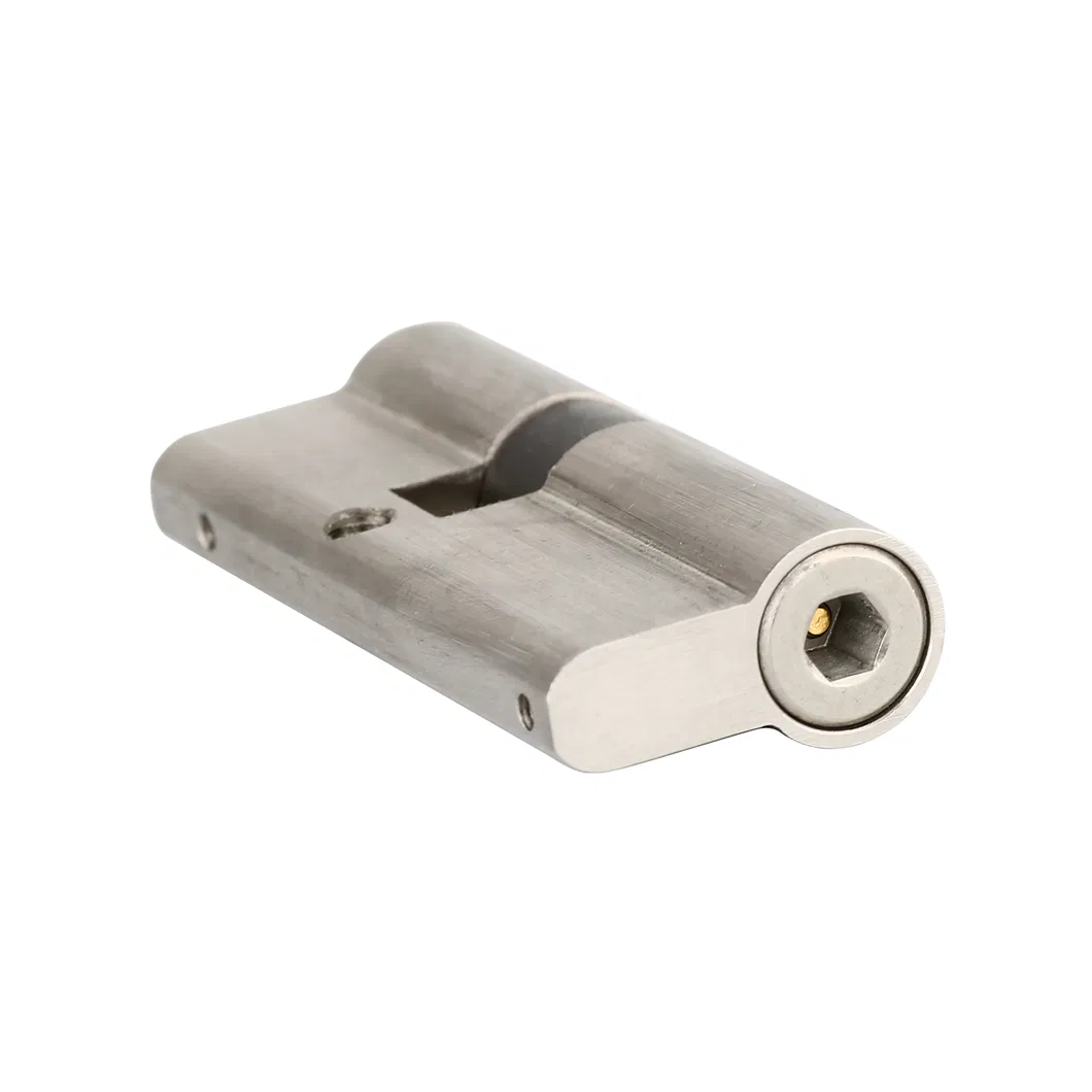 Security Padlock Anti-Theft Lock Cores: Safeguard Your Property