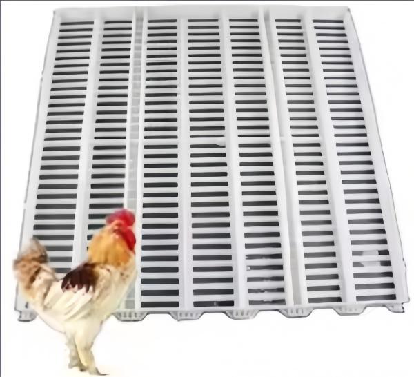 Easy Clean Plastic Slatted Floor Poultry House Customized Color