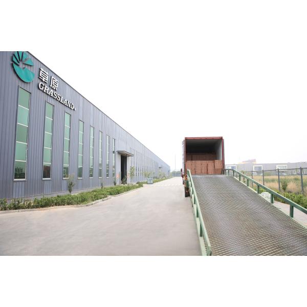 Ткань 115mm алюминиевой окиси T29 колесо диска щитка 80 песчинок