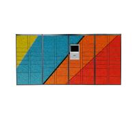 Casier intelligent de la livraison de colis de médecine de scanner de QR avec la caméra de sécurité à distance de plate-forme