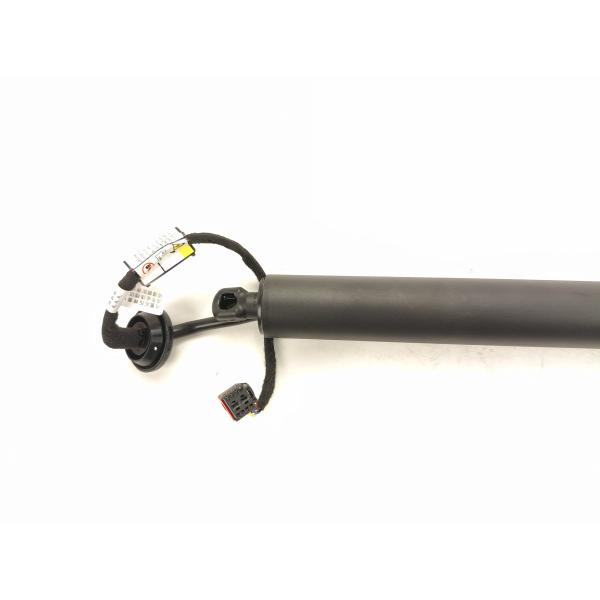 Electric Tailgate Strut Support Rod Auto Parts Telectric Boot Strut OE LR126176 LR044161