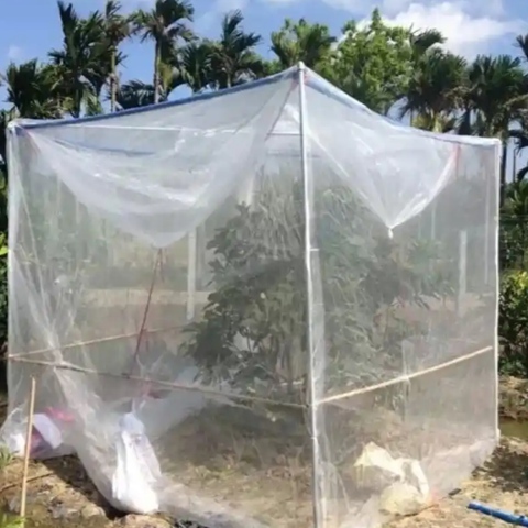 White color PE material Garden Netting anti mosquito and bug