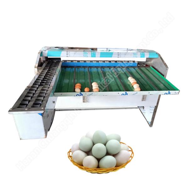 Automatic Egg Grader Machine Egg Grading Machine Sorter Egg Weight Sorter Production Line