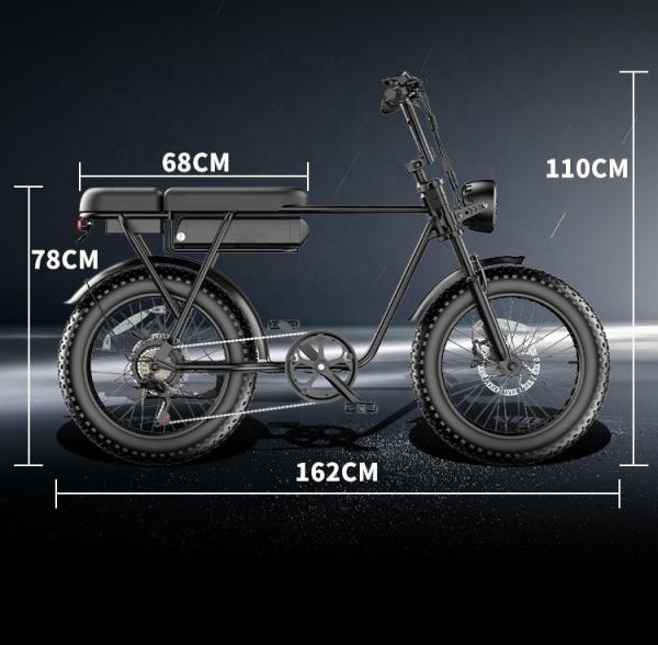 Max Speed 30-50Km/h Disc Brake Electric Fat Tire Bike 48V 400W Motor Ebike
