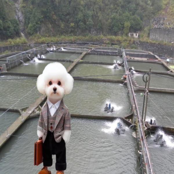 Глянцевая поверхность HDPE Geomembrane Liners 100% девственный HDPE для вылупления рыб на открытом воздухе