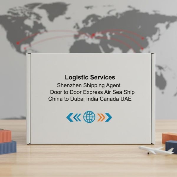 Professional Logistics Services and Shipping Agent Offering Door to Door Air Sea Ship with Global Service Coverage