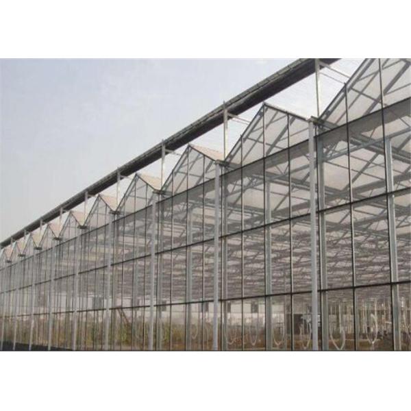 Simple Construction Agricultural Glass Greenhouse Venlo Type Greenhouse For Vegetables