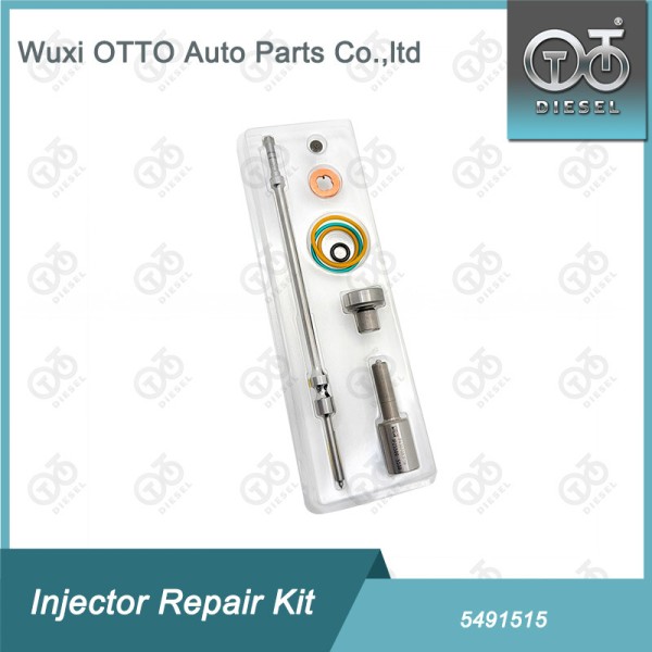 Common Rail Injector Repair Kit 5491515