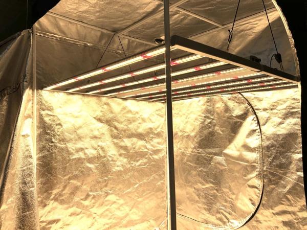 2.9umol/J 670w Led Vegetative Grow Light For Medical Planting