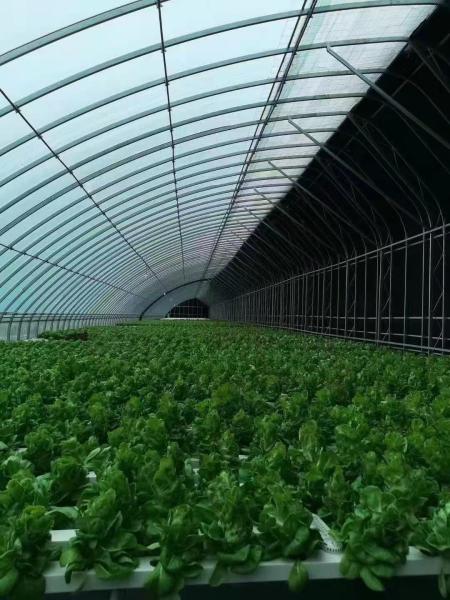 Estufas de controle de temperatura personalizadas com sistema de refrigeração de energia solar